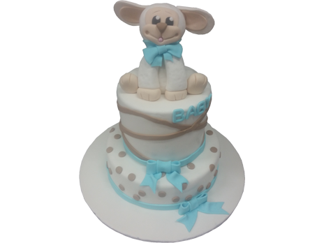 Baby Shower Cakes-BS40